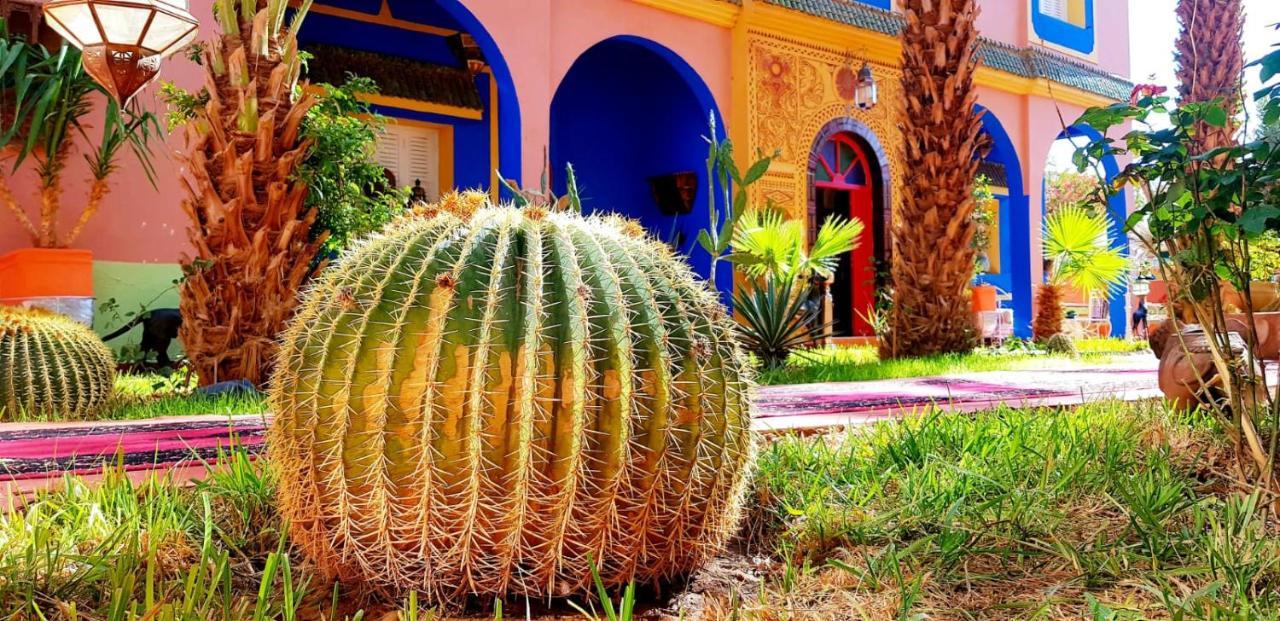 Riad Jasmine Sud Zagora Kültér fotó